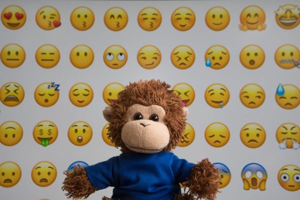 Bob T. Monkey with emojis