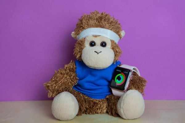 Bob T. Monkey in his running gear