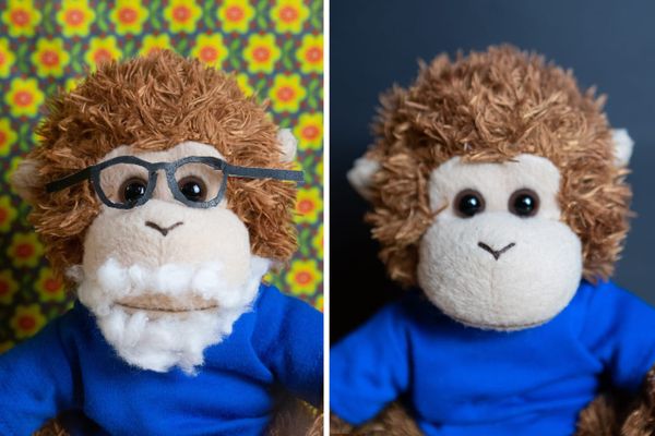 Bob T. Monkey keeps in touch with Grandpa Monkey