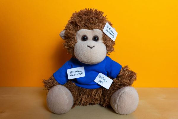 Bob T. Monkey keeps his tags organized