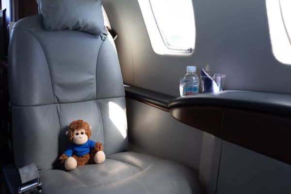 Bob T. Monkey on a plane