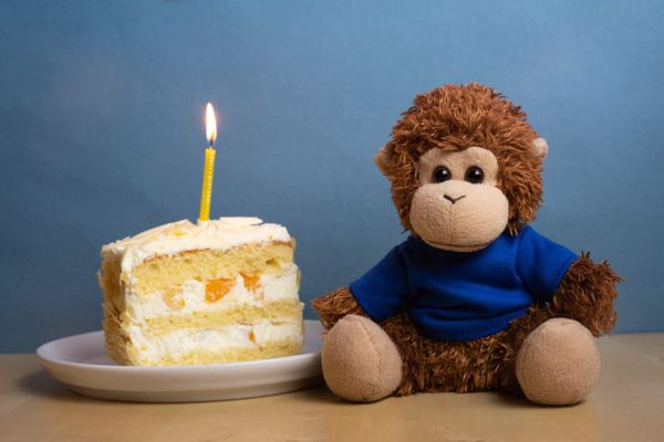 Bob T. Monkey eats birthday cake