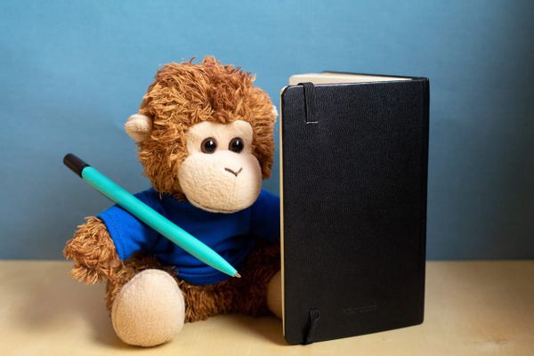 Bob T. Monkey practices his creative writing