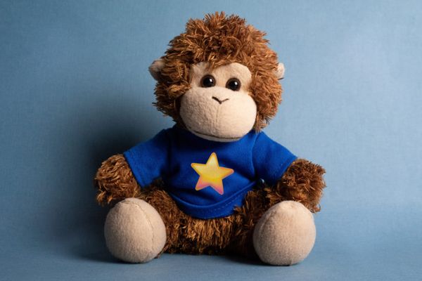 Bob T. Monkey with a star emoji shirt
