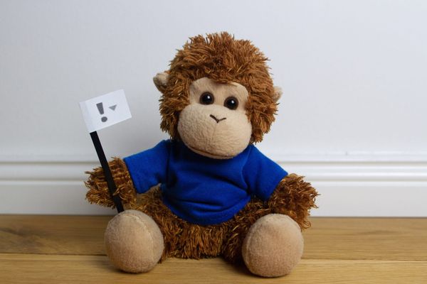 Bob T. Monkey holds a priority flag