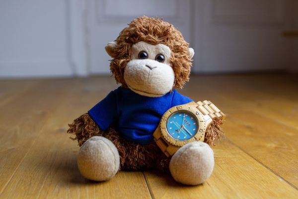 Bob T. Monkey checks his watch