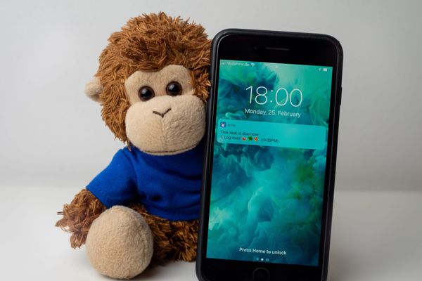 Bob T. Monkey shows a reminder to log food