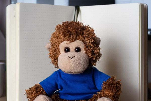 Bob T. Monkey works on his Bullet Journal