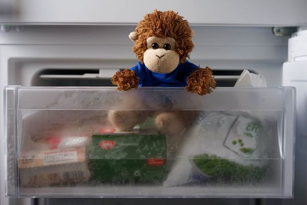 Tips & Tricks Tuesday: Tracking what's in your freezer