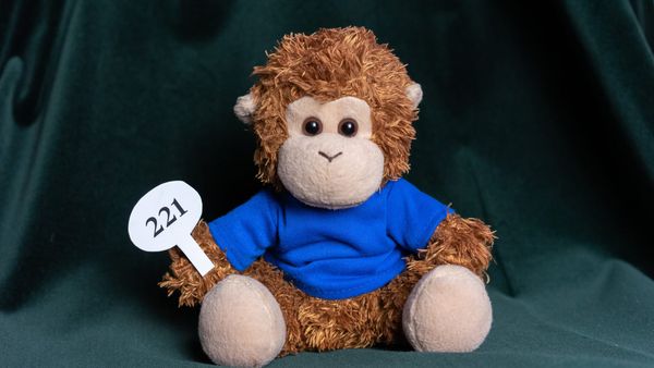 Tips & Tricks Tuesday: Winning online auctions by adding tasks