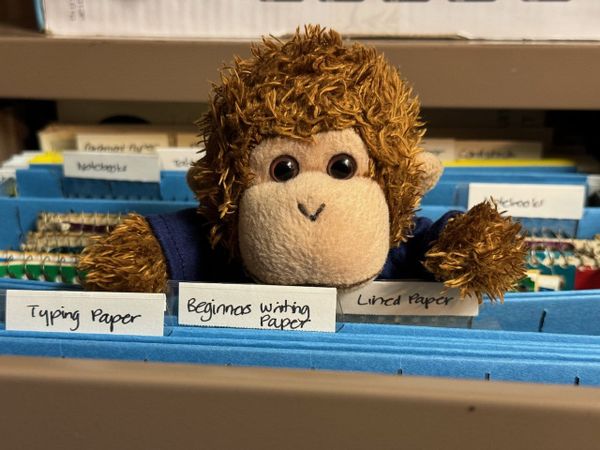 Bob T. Monkey inside a filing cabinet.