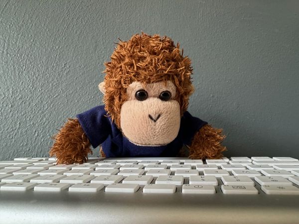 Bob T. Monkey at a keyboard.