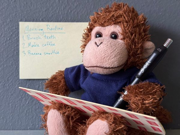 Bob T. Monkey making a list for his daily routine.