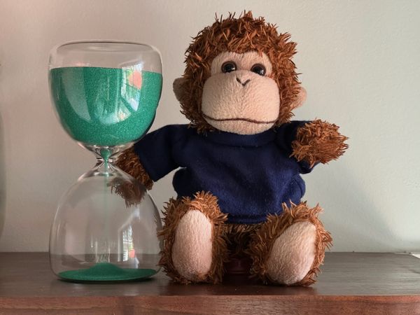 Bob T. Monkey waits very patiently next to his hourglass.