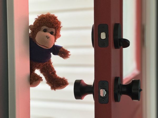 "Here's Bob!" Bob is peeking through an open door.
