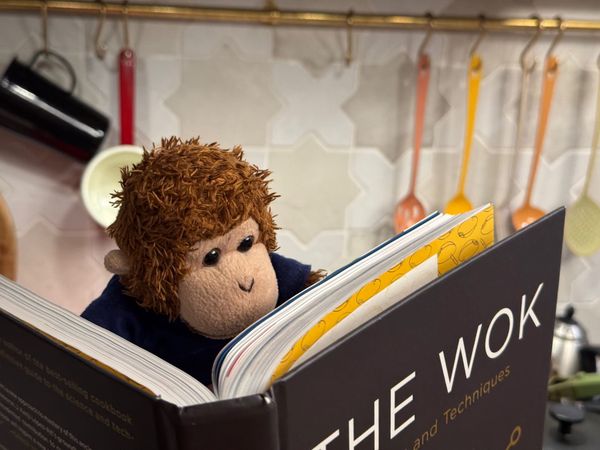 Bob standing in the kitchen, intently reading a cookbook titled "The Wok"