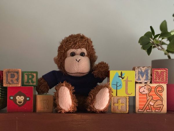 Bob sitting next to building blocks with the letters R T and M on them. Two other blocks feature monkeys.
