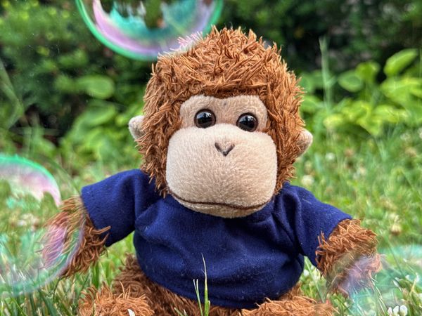 Bob sitting in the garden with bubbles floating around him.