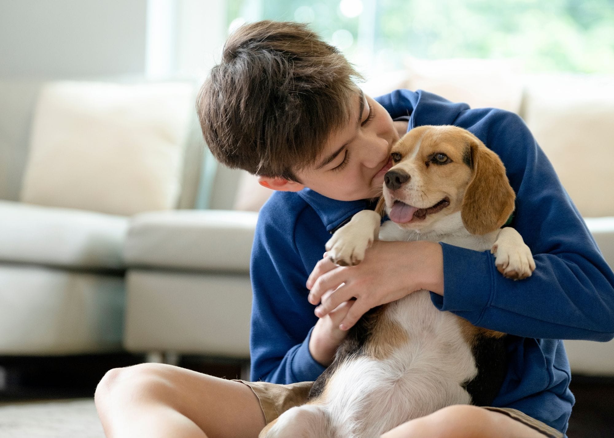 boy hugging a beagle puppy.jpg
