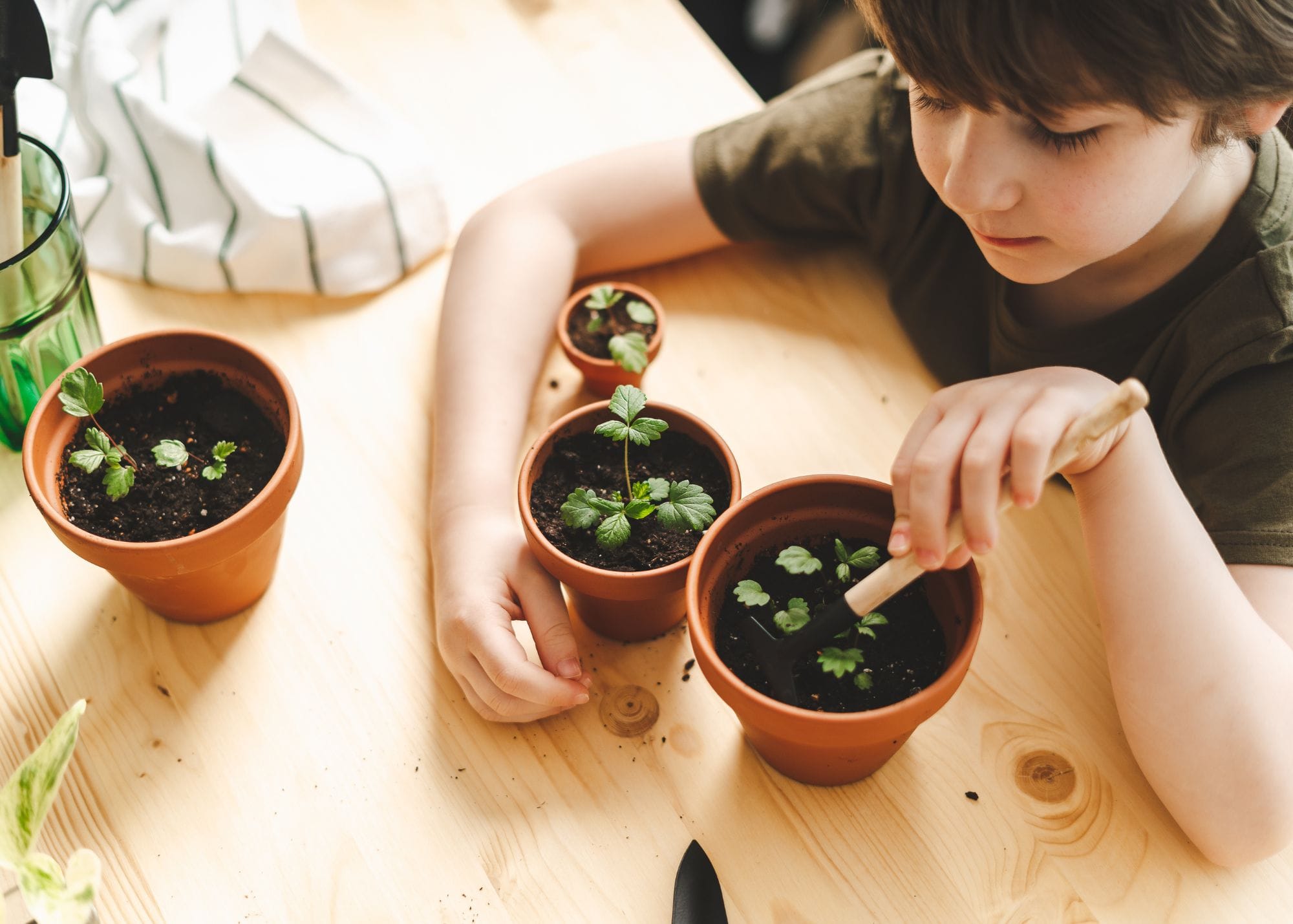 small boy potting plants.jpg