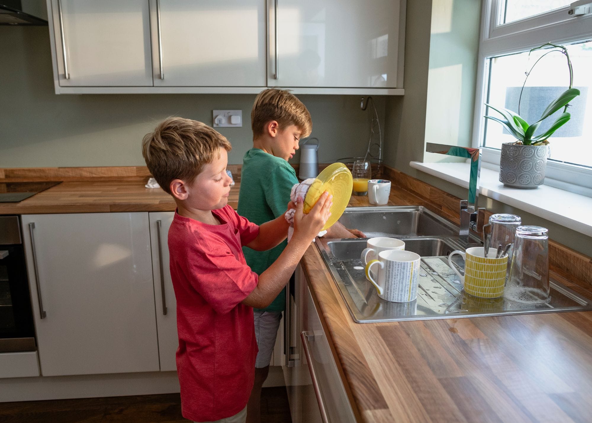 two boys doing the dishes.jpg
