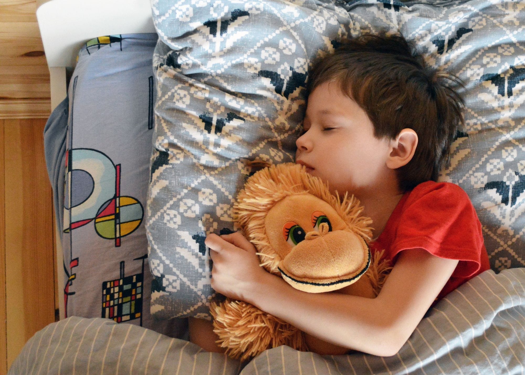 Sleeping child hugging a toy.jpg