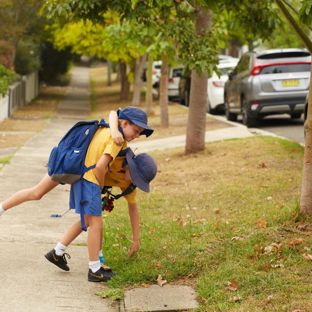 How Much Does a Babysitter Cost in Manly?