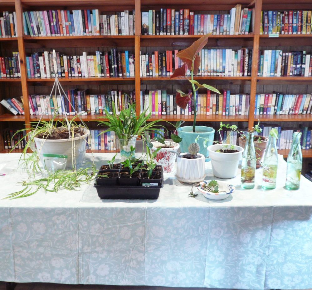 Princeton Parks & Recreation’s Annual Plants & Pastries