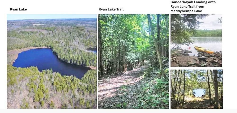 Meddybemps Lake Land Trust Invites Visitors to Explore Three Scenic Trails