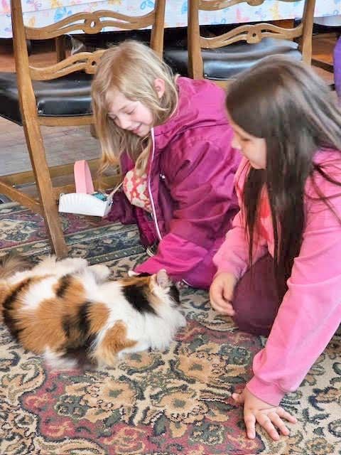 Lincoln Memorial Public Library