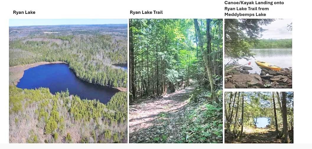 Meddybemps Lake Land Trust Invites Visitors to Explore Three Scenic Trails