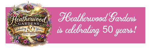 Heatherwood Gardens Turns 50: A Blooming Legacy Rooted in Family and Community