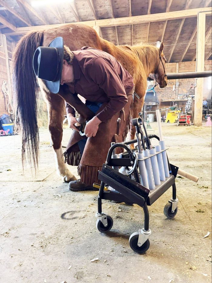 Downeast Farrier Brings Traditional Hoof Care Back to Rural Maine