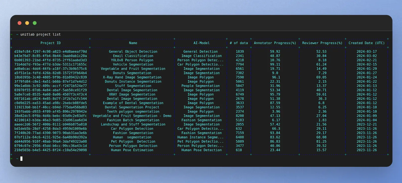 Project List through Unitlab CLI | Unitlab AI