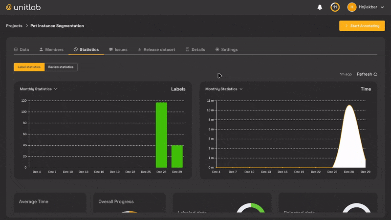 Real-time Statistics Dashboard | Unitlab Annotate