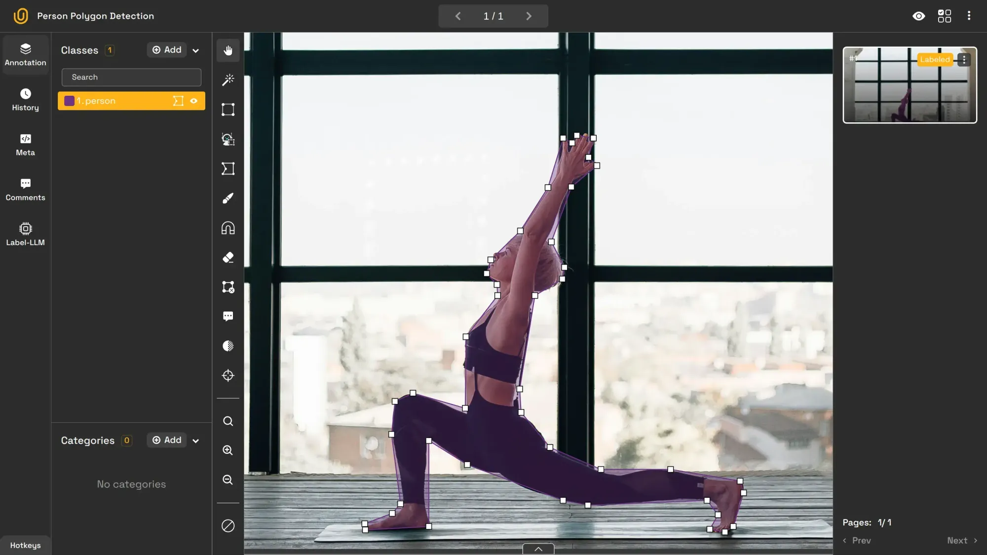 Person Polygon Detection | Unitlab Annotate