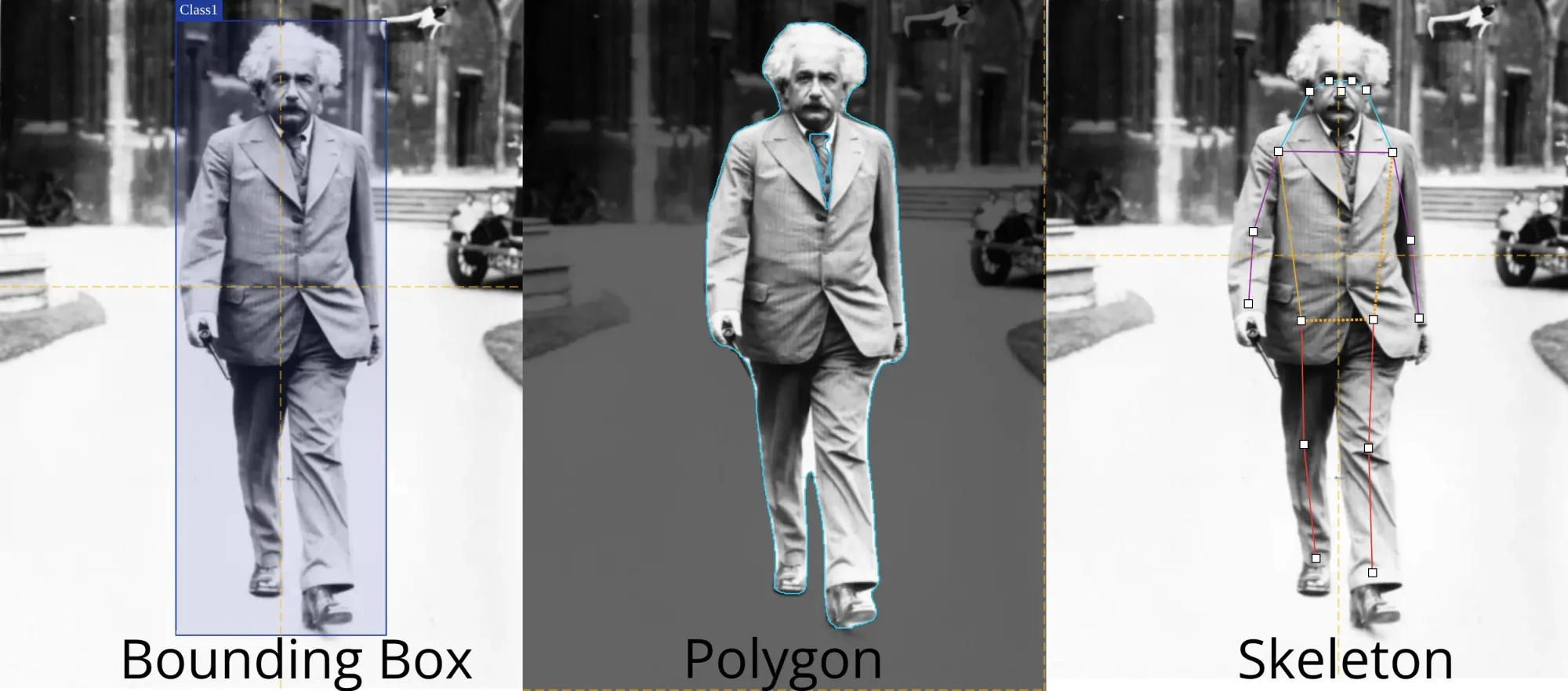 Bounding Box vs. Polygon vs. Skeleton | Unitlab Annotate