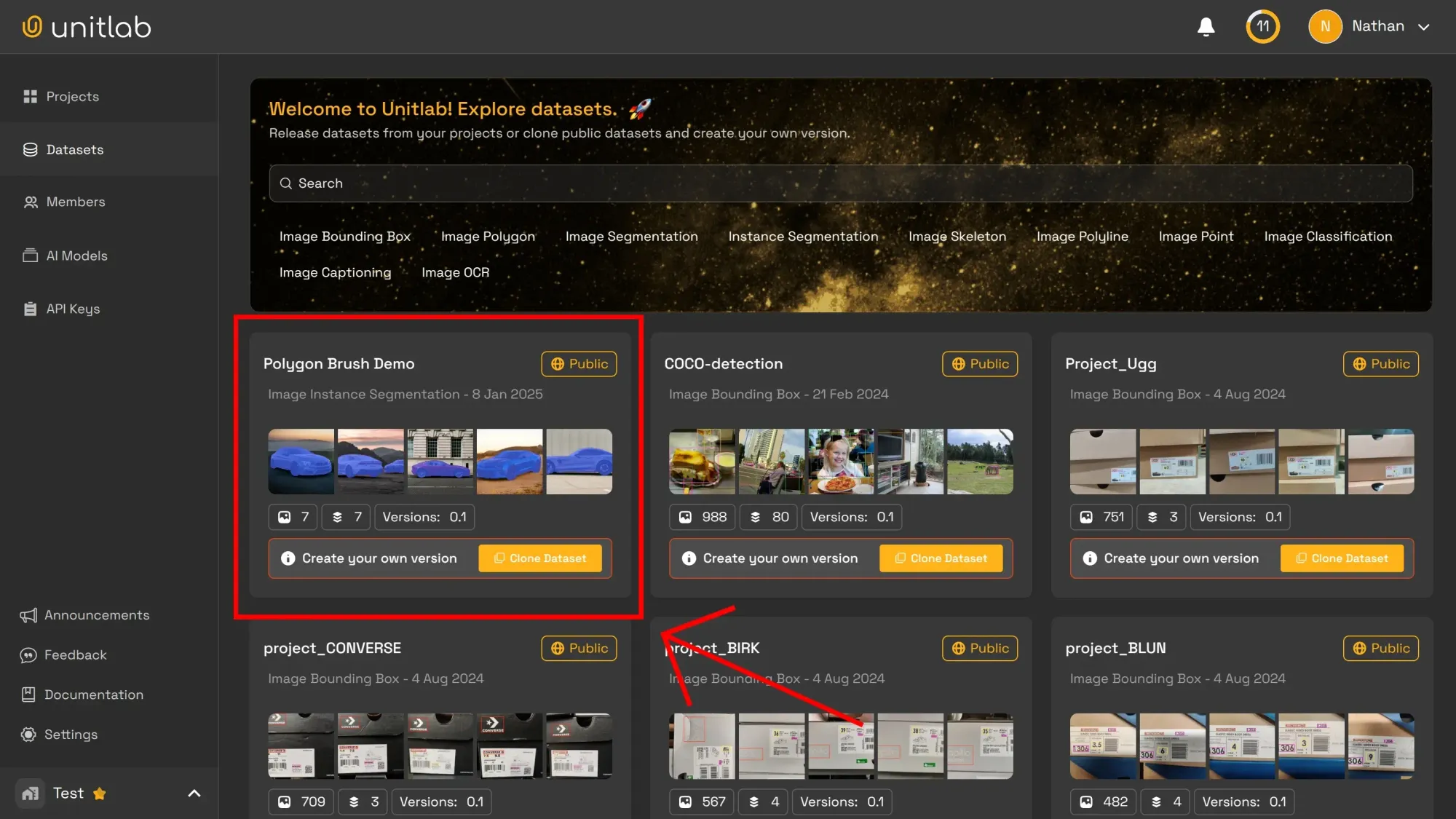 Polygon Brush Demo Dataset | Unitlab Annotate