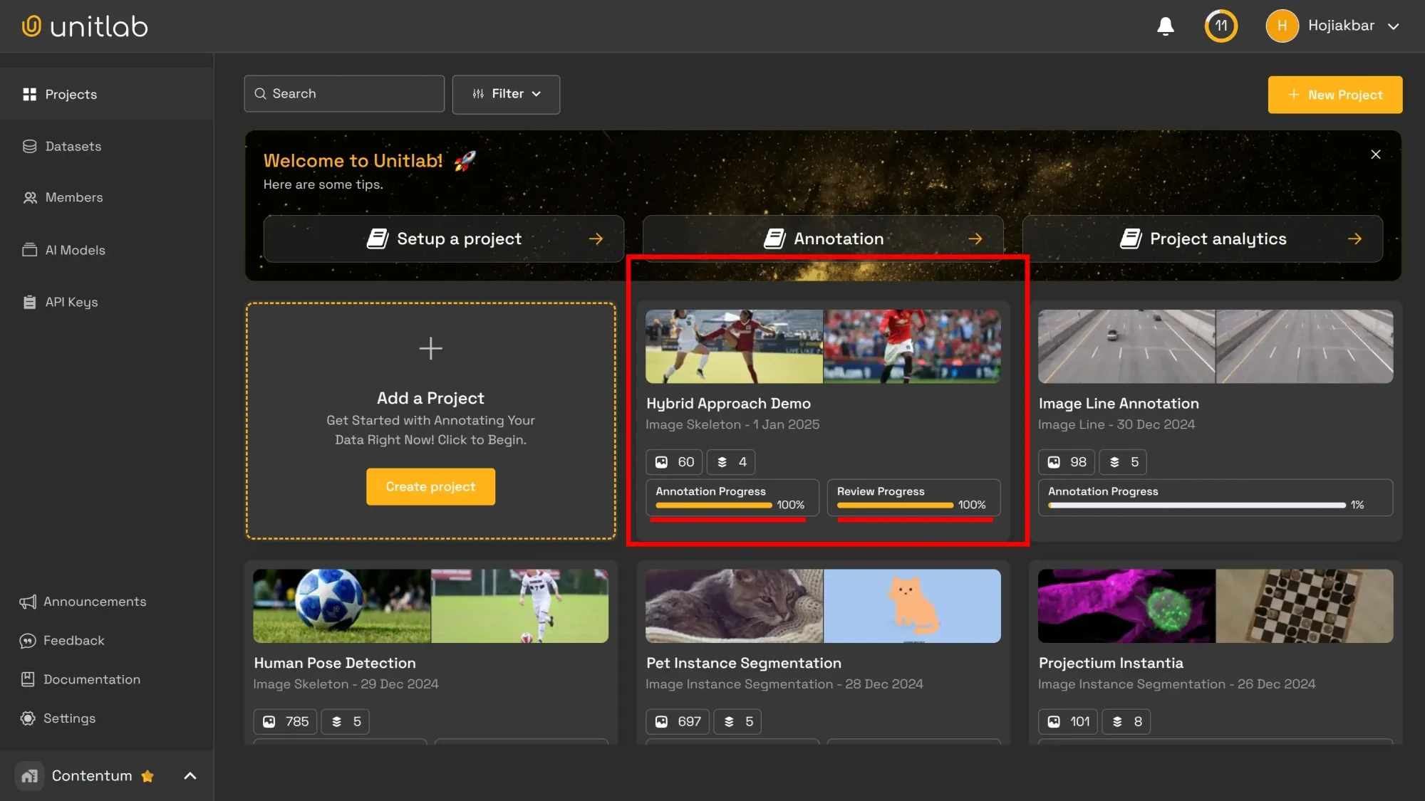 Fully Annotated and Reviewed Project | Unitlab Annotate