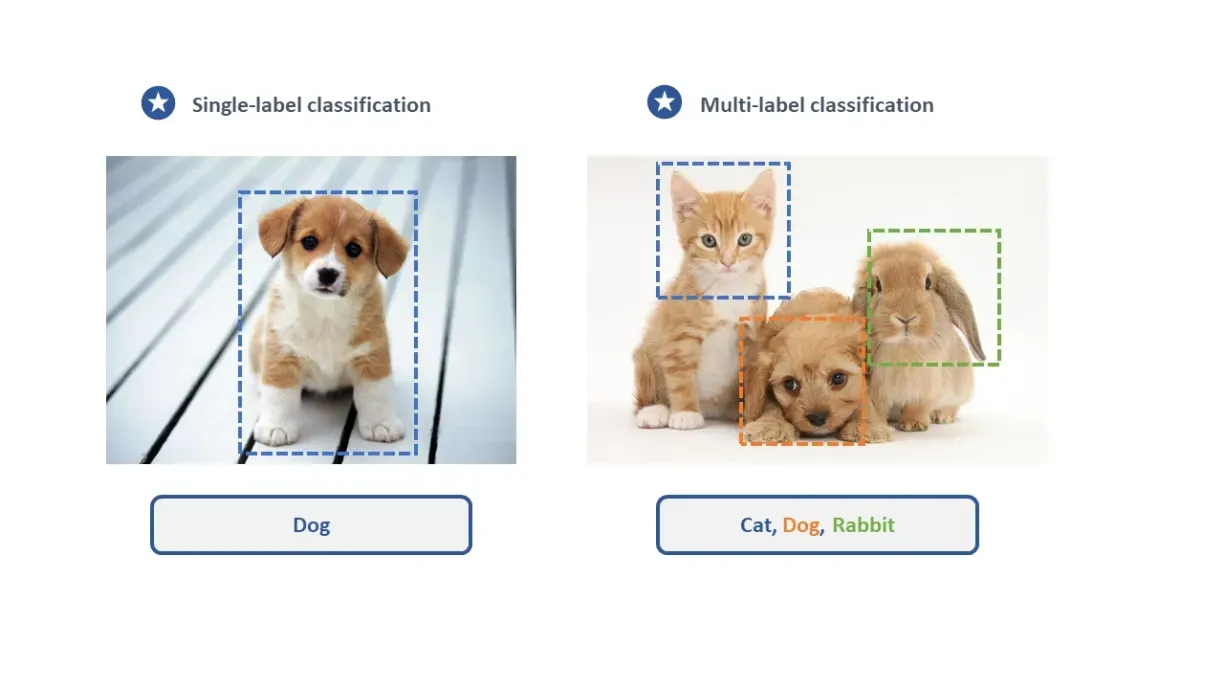Image Classification | AIMultiple Research