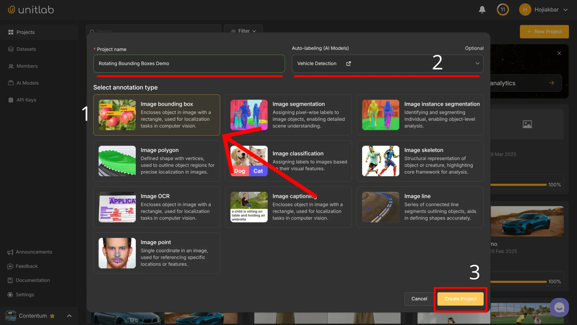 Project Creation | Unitlab Annotate
