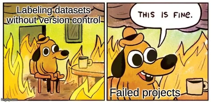 Version control is super important for IT projects