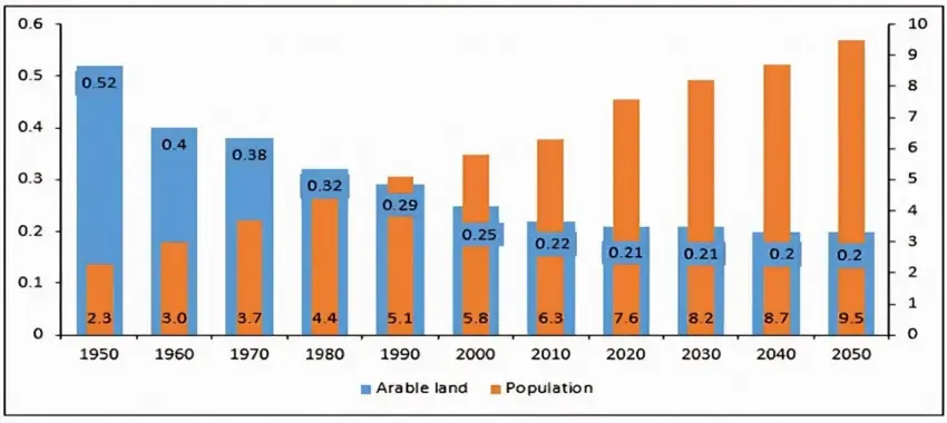 World population (billions) versus arable land (ha per person) 1950-2050 Source: (Gupta, Singh et al. 2021)