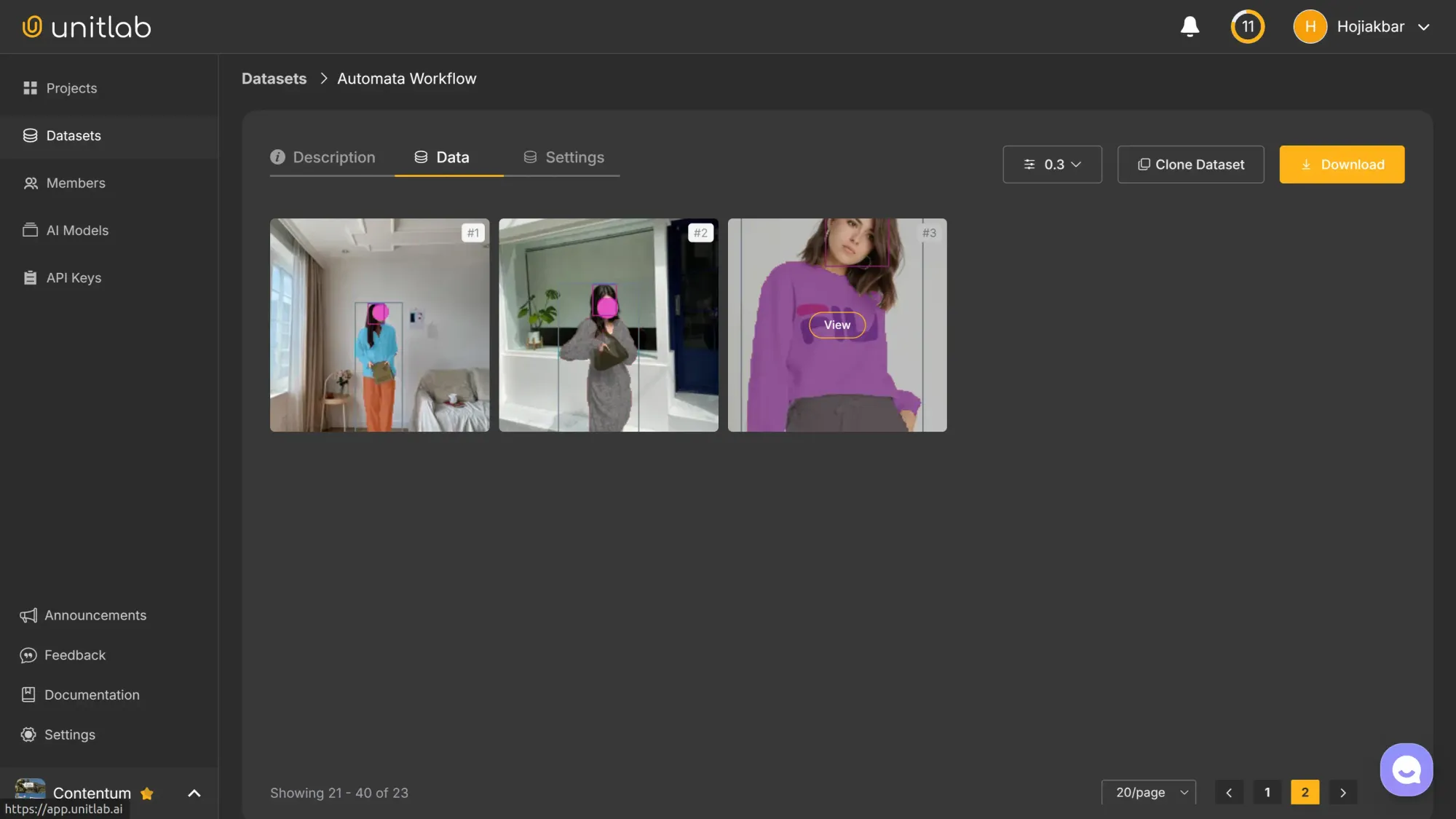 Released Dataset | Unitlab Annotate