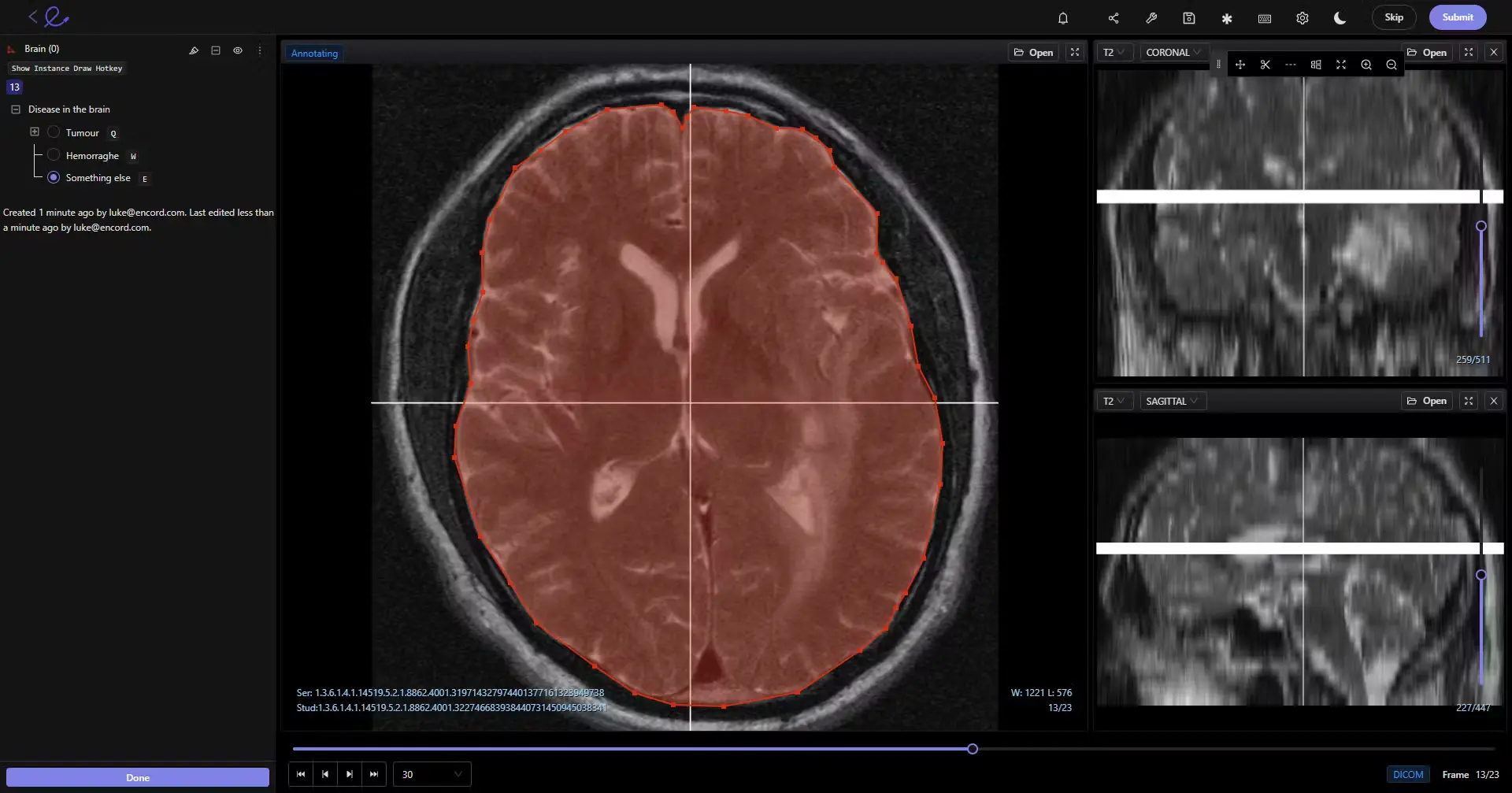 Medical Image Annotation in DICOM Format