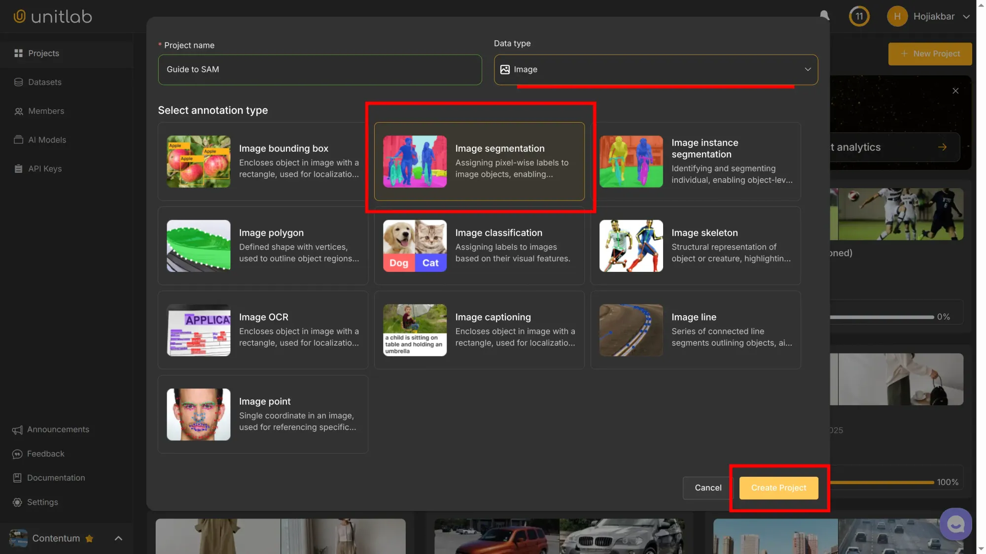 Project Creation | Unitlab Annotate