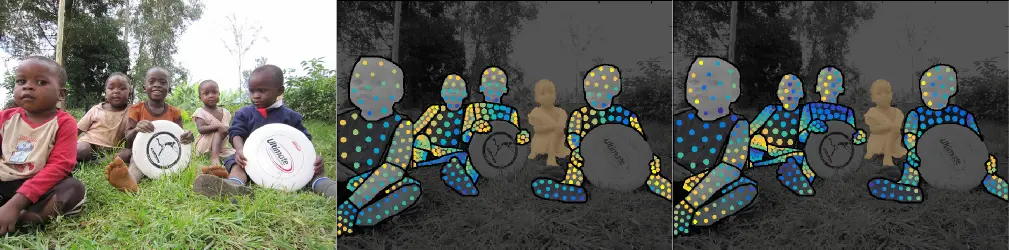 DensePose-COCO Dataset