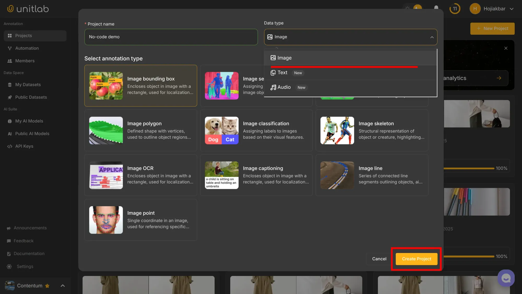 Project Creation | Unitlab Annotate