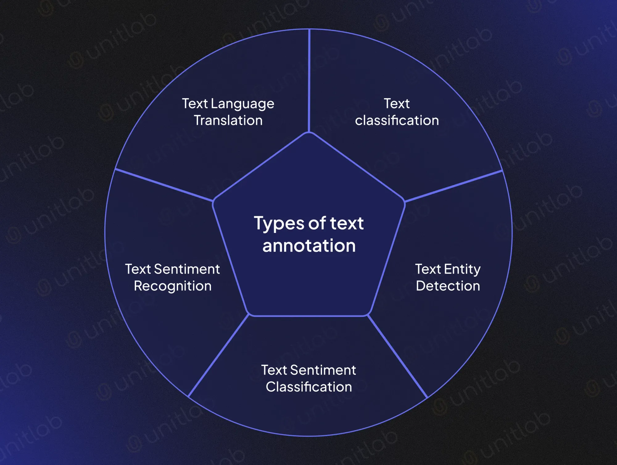 Types of Text Annotation | Unitlab Annotate
