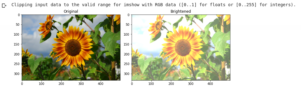 Figure 8: Brightened augmentation